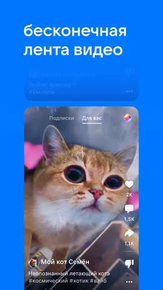 Скриншот 2/8