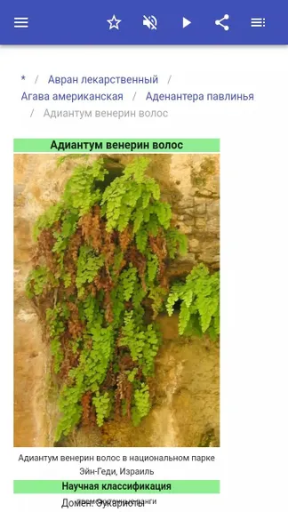 Скриншот 5/5