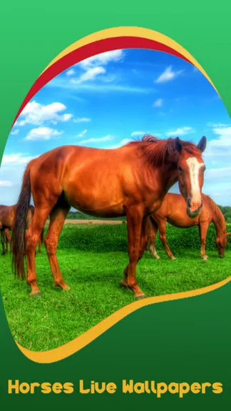 Скриншот 1/8