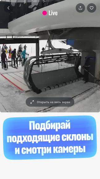 Скриншот 5/6
