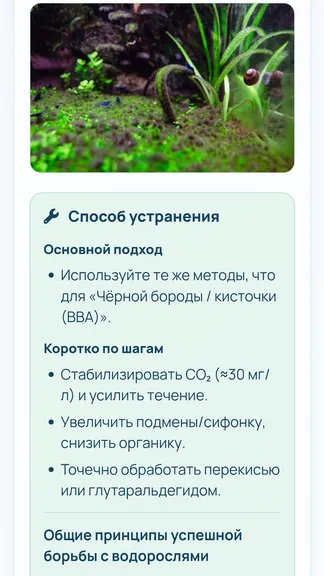 Скриншот 3/6