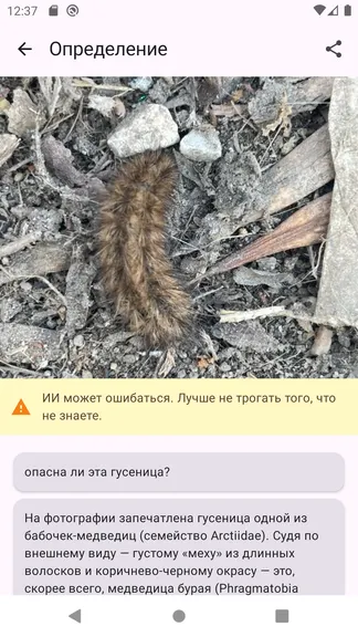 Скриншот 2/3