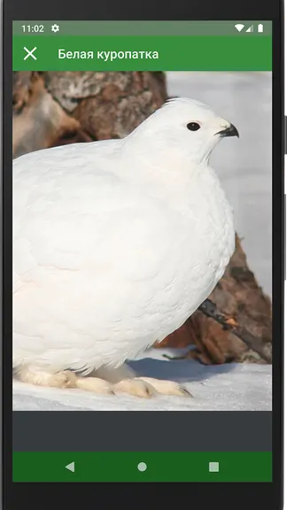 Скриншот 4/4