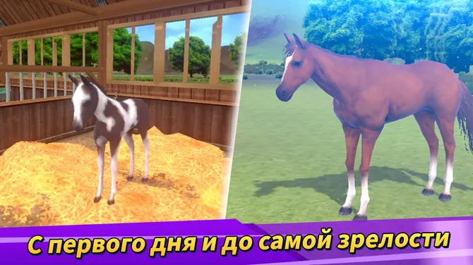 Скриншот 3/8