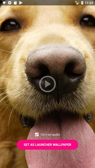 Скриншот 5/6