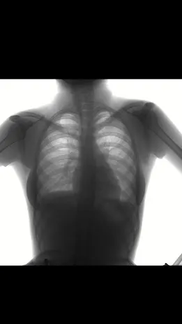 Скриншот 3/8