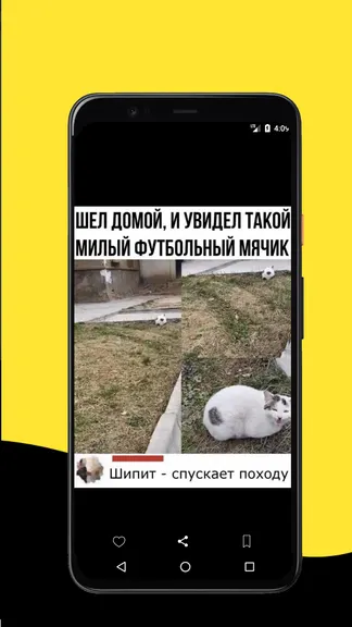 Скриншот 8/8