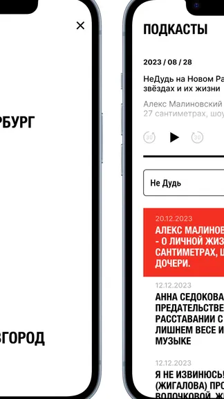 Скриншот 5/8