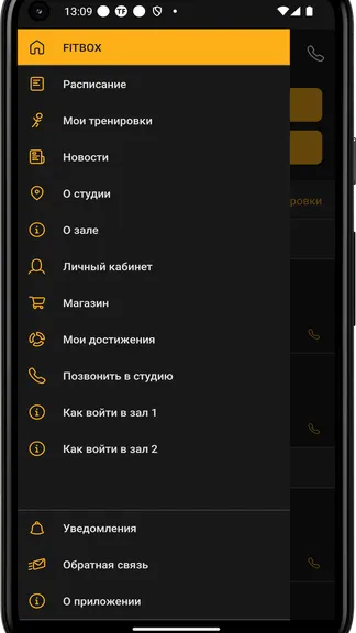Скриншот 2/4