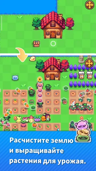 Скриншот 2/6