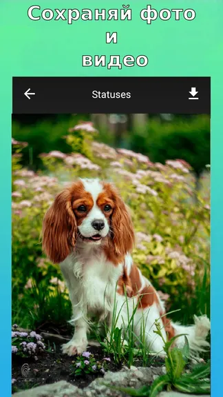 Скриншот 2/3