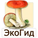 ЭкоГид: Грибы логотип
