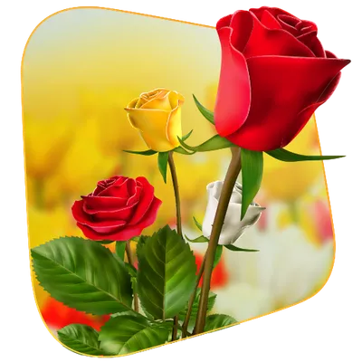 360 Flower live wallpaper 3D