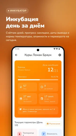 Скриншот 8/10