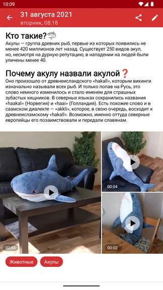 Скриншот 4/8