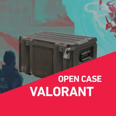 VALORANT CASE