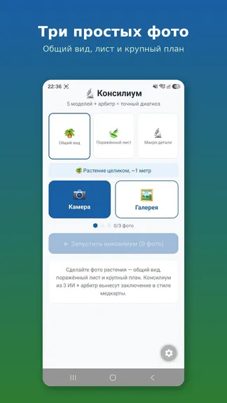 Скриншот 3/4