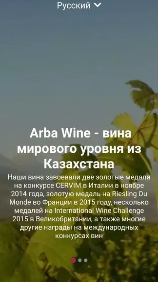 Скриншот 1/5