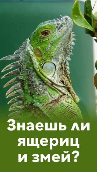 Скриншот 3/10