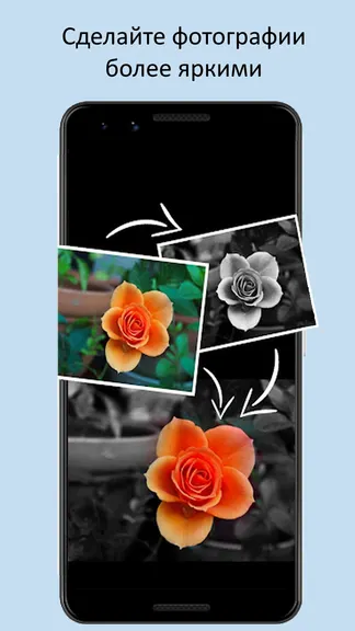 Скриншот 1/10