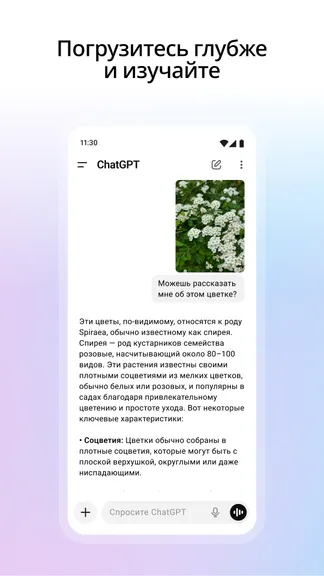 Скриншот ChatGPT 6