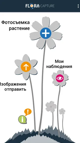 Скриншот 1/5