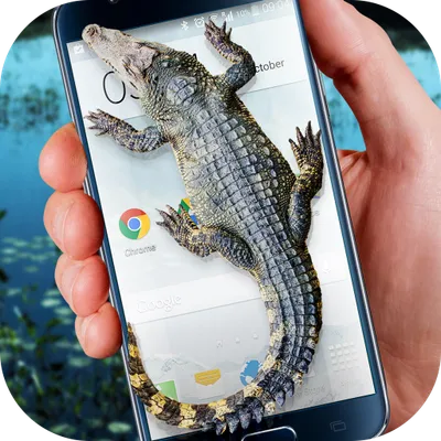 Crocodile in Phone Big Joke