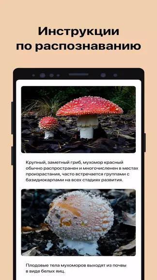 Скриншот 4/7