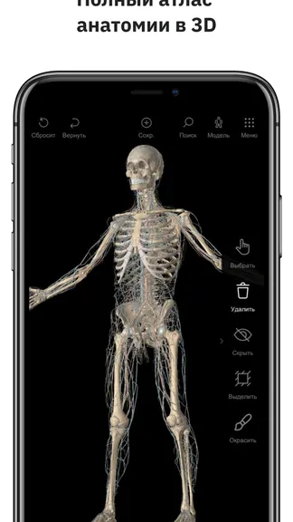 Скриншот 1/5