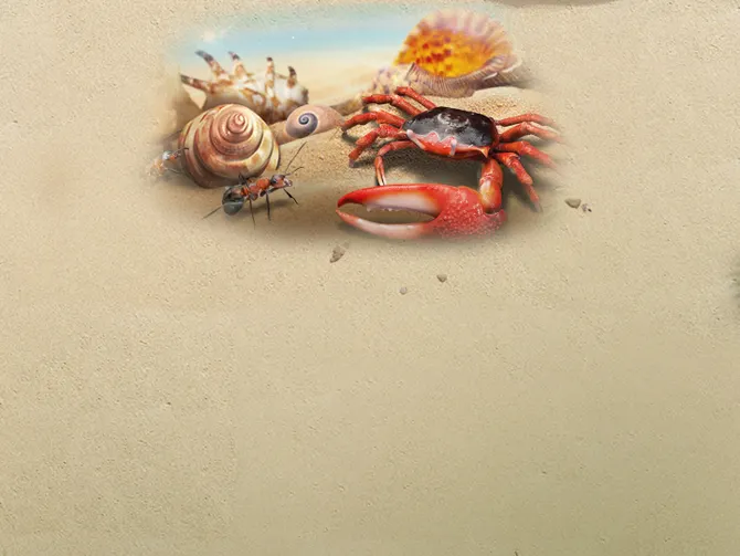 Обложка события Берег после отлива