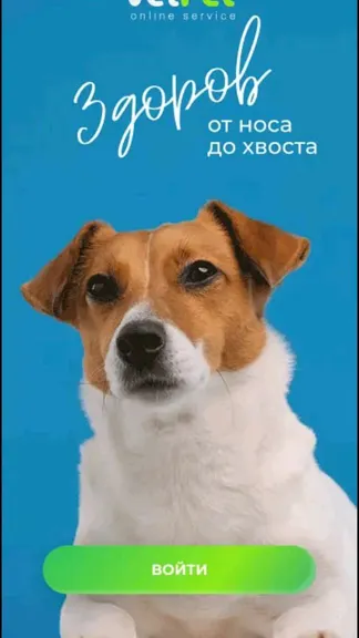 Скриншот 1/4