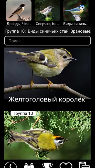 Скриншот 5/8