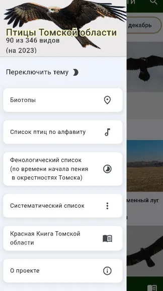 Скриншот 2/5