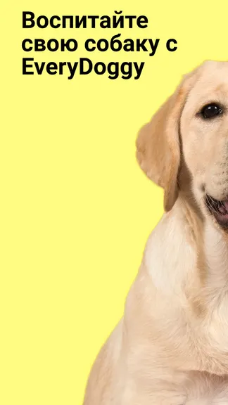 Скриншот 1/6