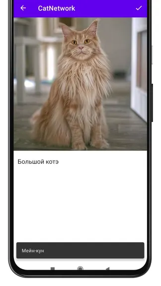 Скриншот 2/4
