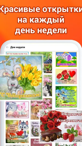 Скриншот 10/10