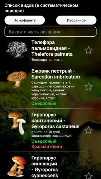 Скриншот 2/8