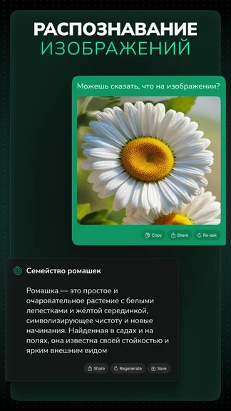 Скриншот 3/7