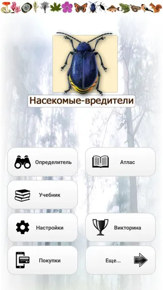 Скриншот 1/8
