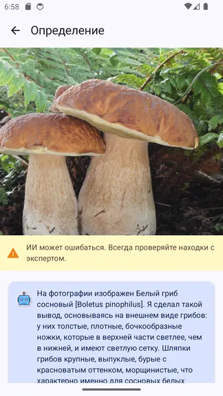 Скриншот 6/6