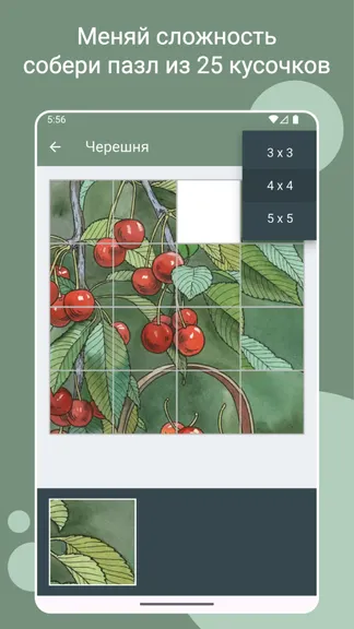 Скриншот 5/5