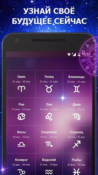 Скриншот 1/4