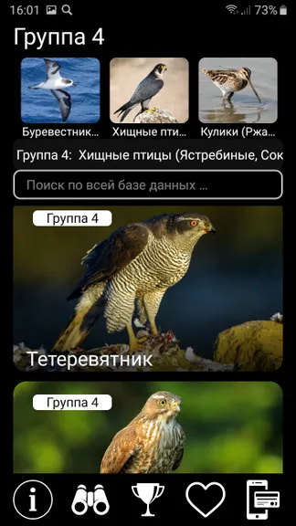 Скриншот 6/10