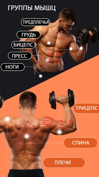 Скриншот 6/7