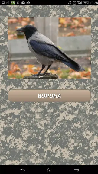 Скриншот 3/3