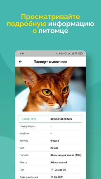 Скриншот 4/7