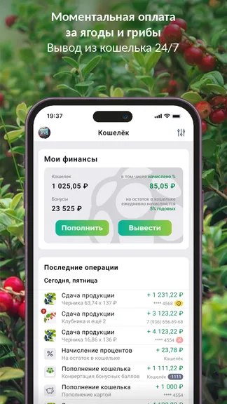Скриншот 3/4