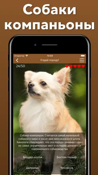 Скриншот 6/8