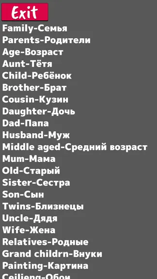 Скриншот 5/5