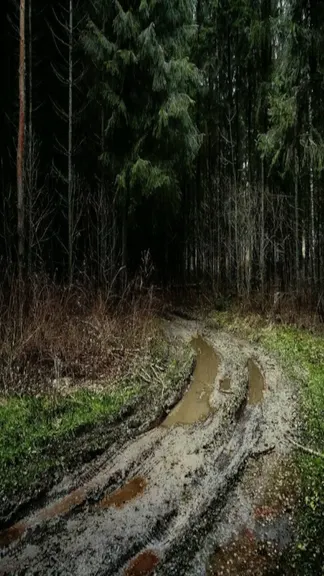 Скриншот 1/3